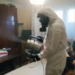 Дезинфекция от клопов в Серове